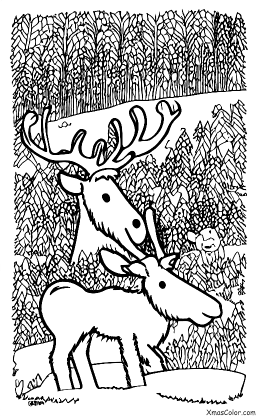 Navidad / Donner: Donner pastorea en la nieve