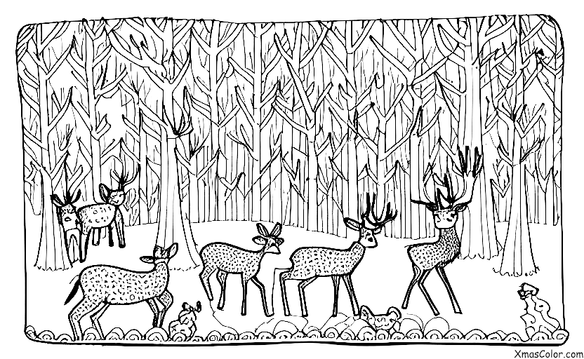 Navidad / Navidad en la montaña: Una familia de ciervos disfrutando del paisaje invernal